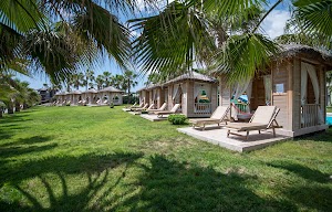 Crystal Flora Beach place picture